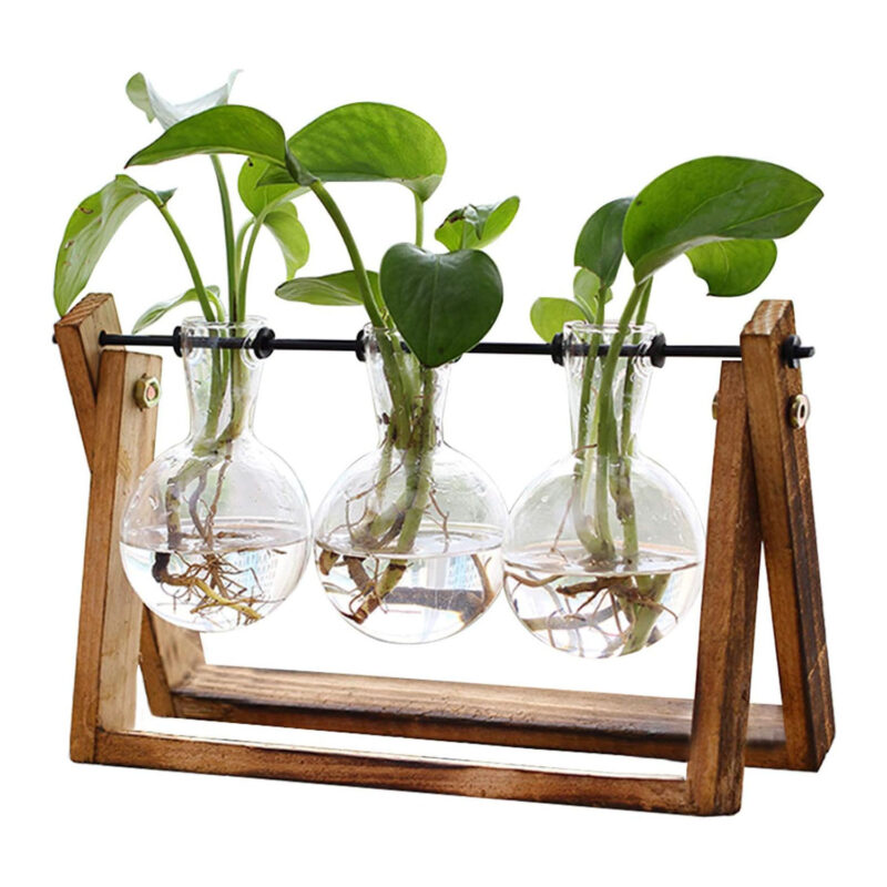 Plant Terrarium with Wooden Stand